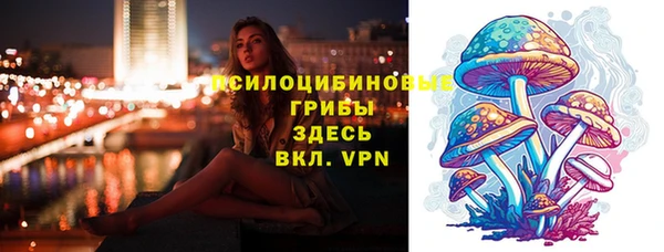 трава Аркадак