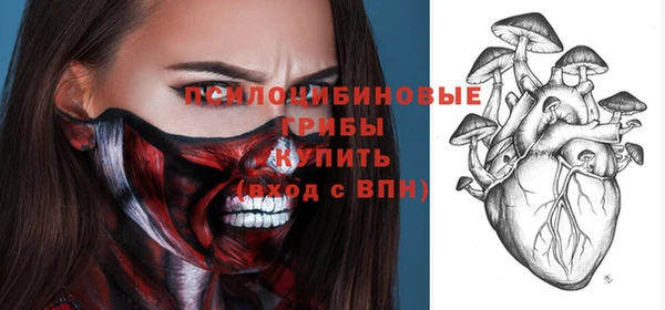 трава Аркадак