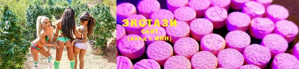 трава Аркадак