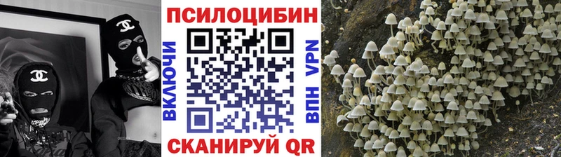 Псилоцибиновые грибы прущие грибы  Исилькуль 