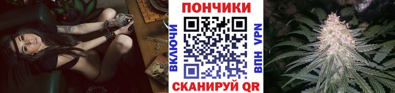 Бошки Шишки план  Исилькуль 